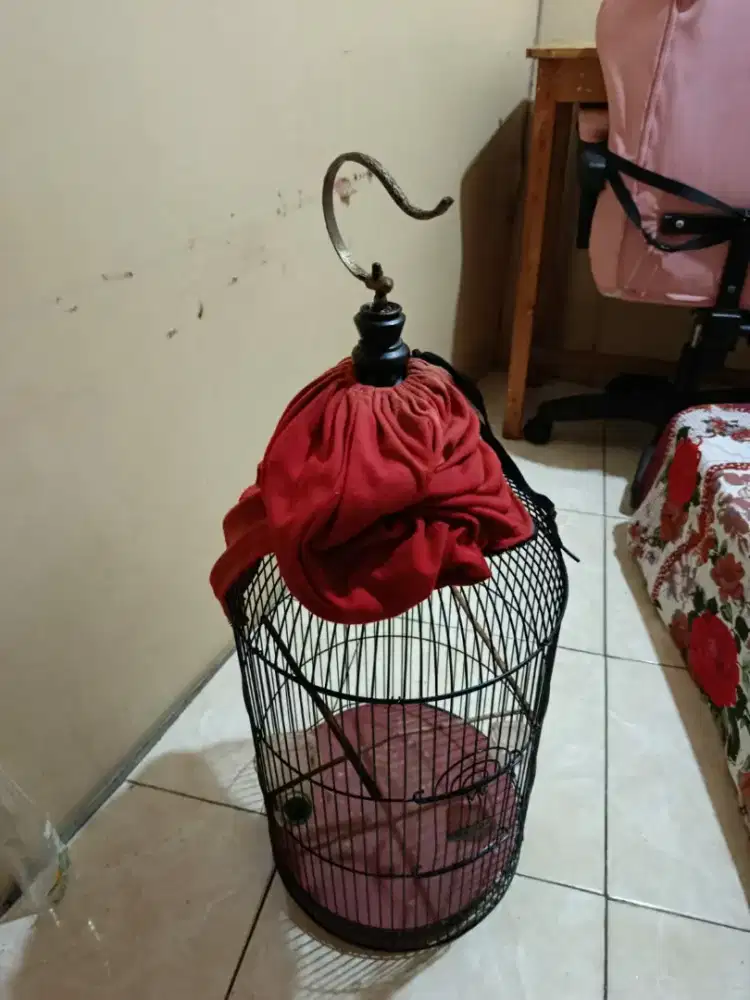 sangkar kandang burung lovebird