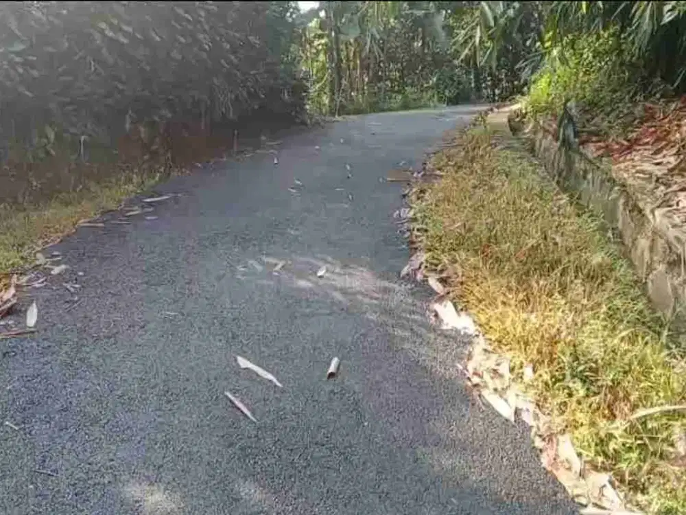 Kebun Murah 3400 m2 90rb/ m2 Sagala herang Subang