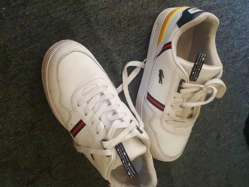 sepatu lacoste kulit ori