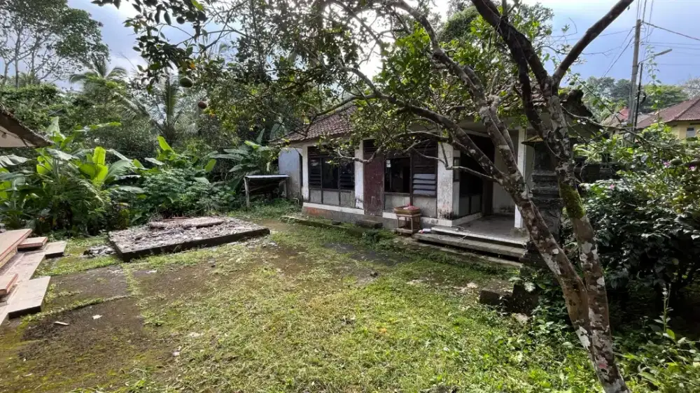 Dijual Tanah Luasan Kecil Los Sungai Di Penebel Tabanan Bali