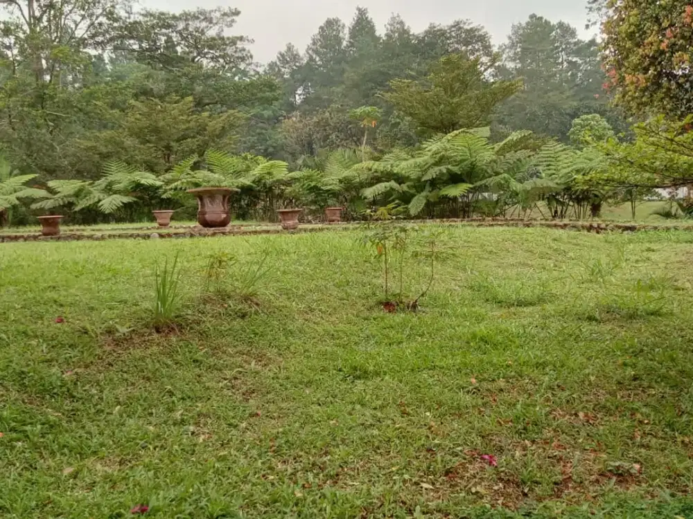 DIJUAL LAHAN STRATEGIS CISARUA BOGOR