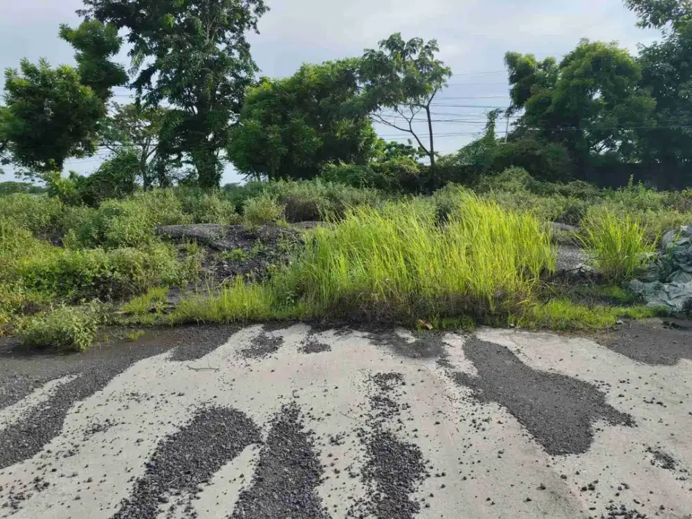 Disewakan tanah daerah ambeng2, Cerme, Gresik