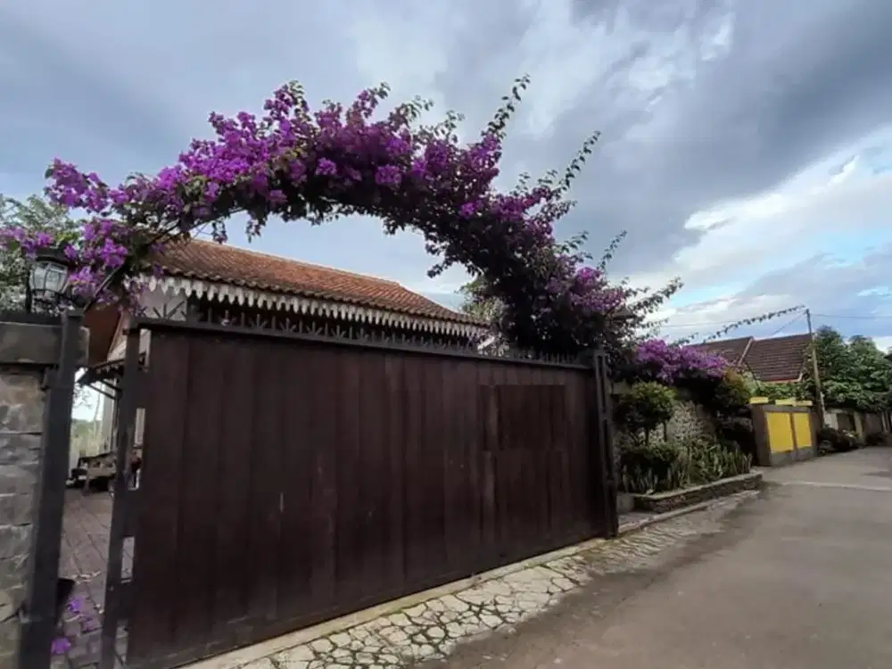 Dijual Rumah Lingkungan Asri Dan Sejuk Jalan Veteran Ciawi Bogor