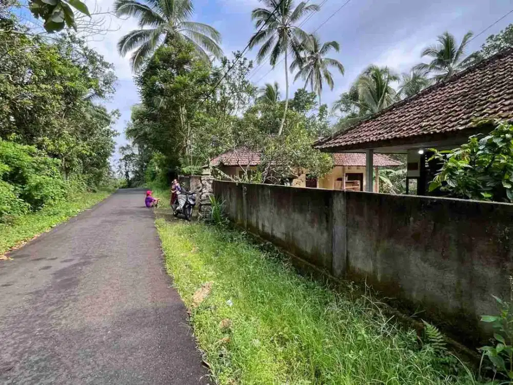 Dijual Tanah Luasnya Kecil Los Sungai Penebel Tabanan Bali