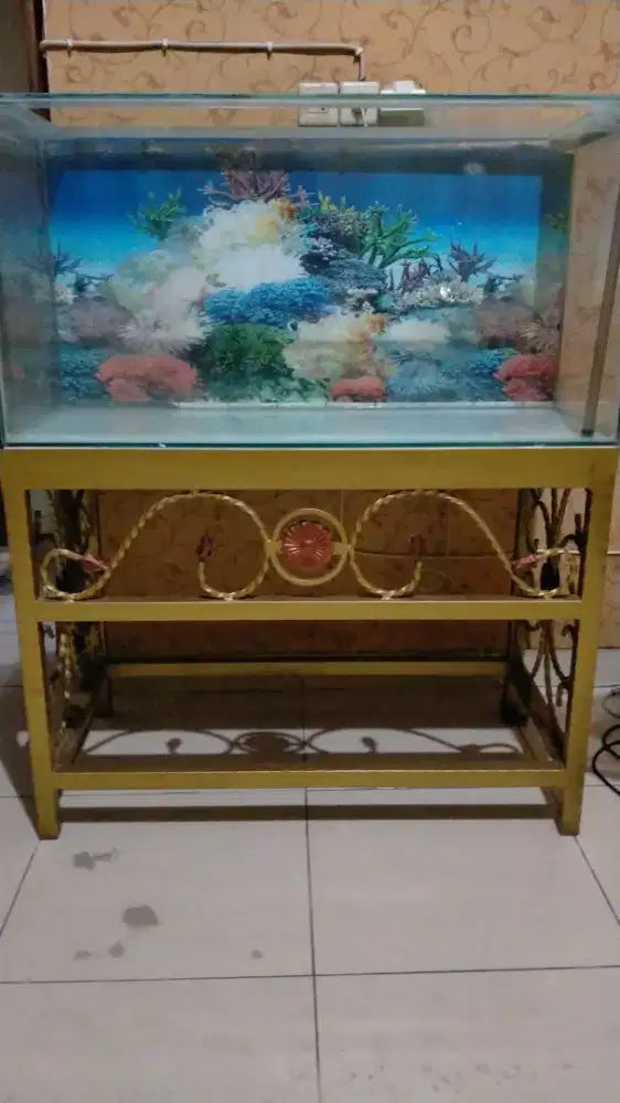 Aquarium murah meriah beli 1 gratis 1