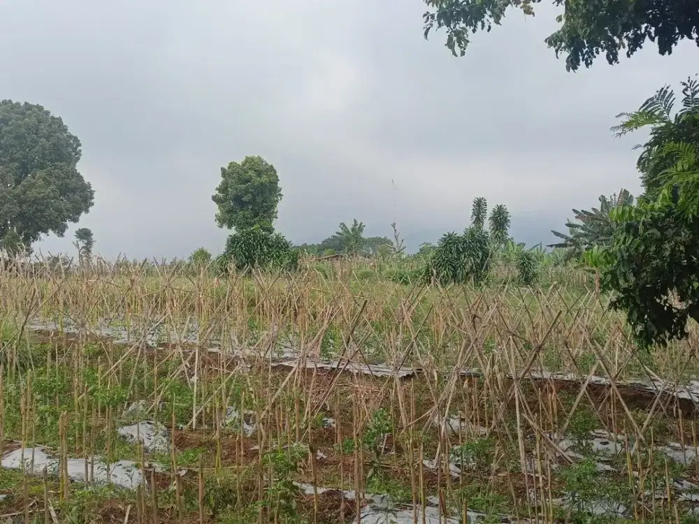 Kavling Murah Strategis Area Wisata Tamansari