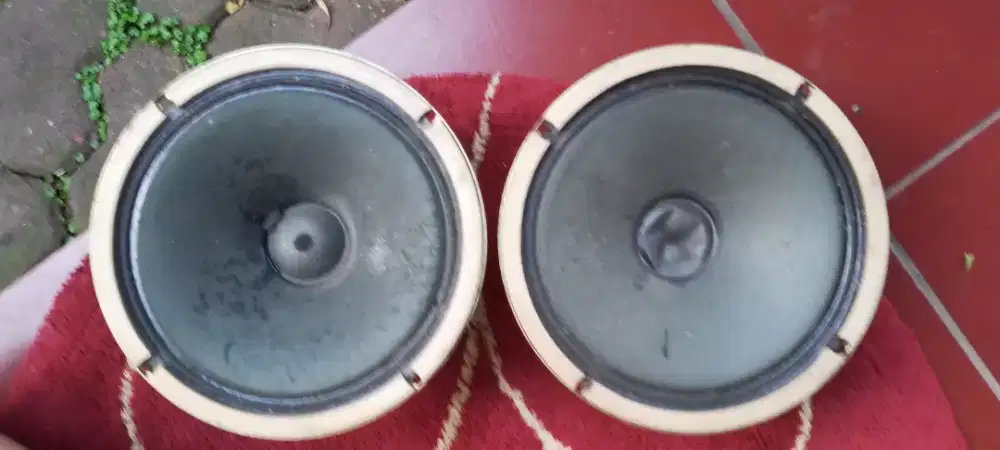 Wofer Vintage merk pioner 6 in