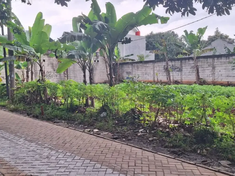 Tanah Ciater BSD Dekat Tol & Stasiun Rawa Buntu - SHM 3Jtan/m