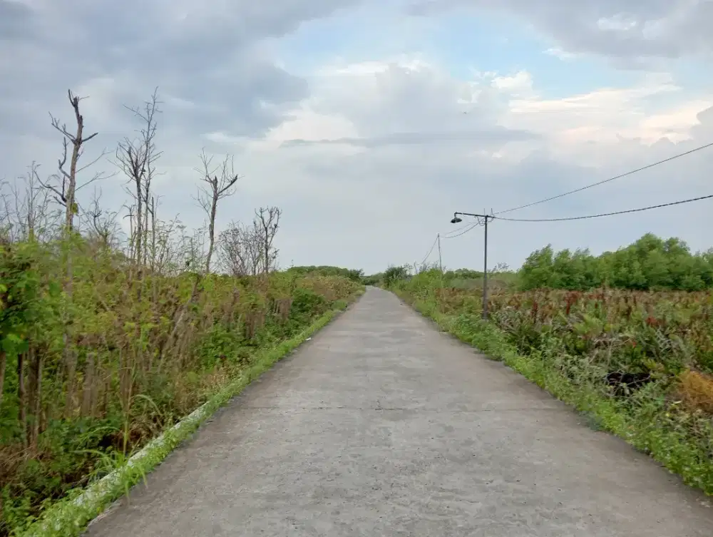 Dijual Tanah Kartikajaya, Kecamatan Patebon, Kabupaten Kendal