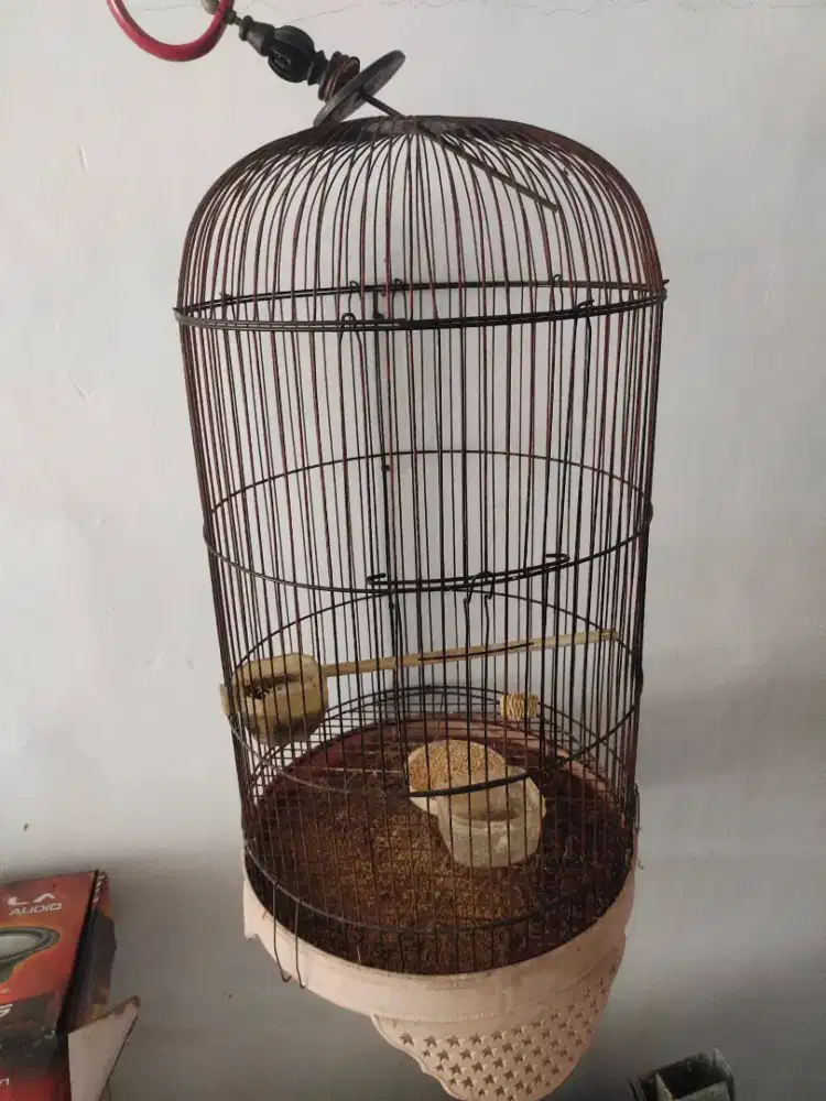 KANDANG//SANGKAR BURUNG LOVE BIRD(LB)