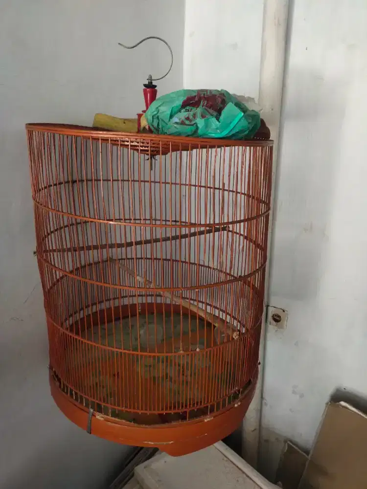 SANGKAR BURUNG MURAI&CUCAK IJO.