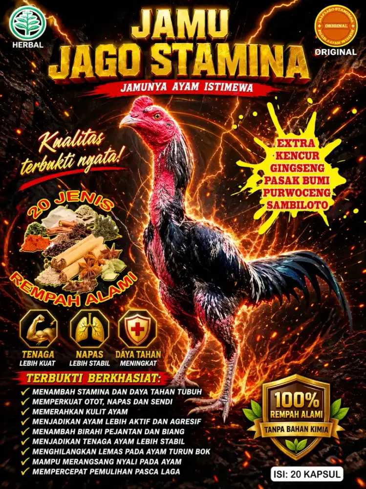 Jamu ayam bangkok terjamin khasiatnya