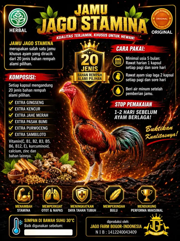 Jamu ayam bangkok khusus rawatan super terjamin khasiatnya