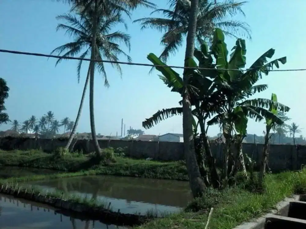 Tanah Gudang untuk Usaha Lokasi Strategis di Raya Laswi Majalaya Ref.05454