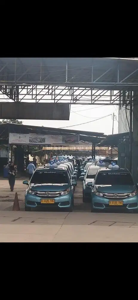 Loker Driver PT Bluebird Group