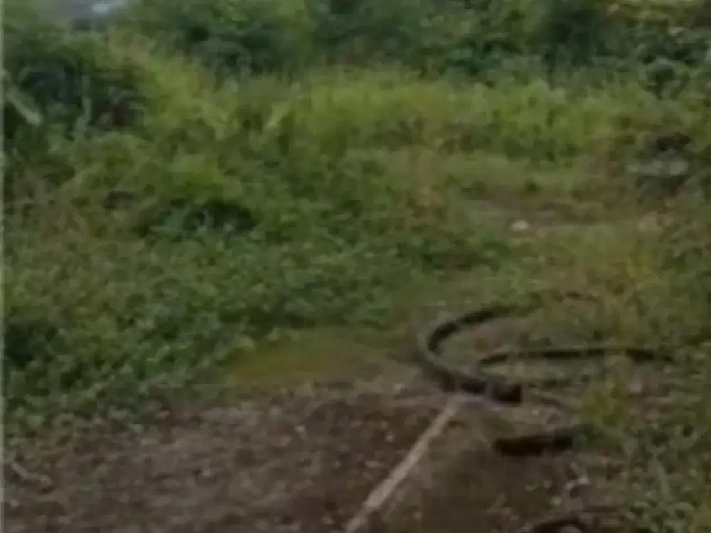 Tanah Dekat Tol Jatibening Bekasi  Lokasi Premium