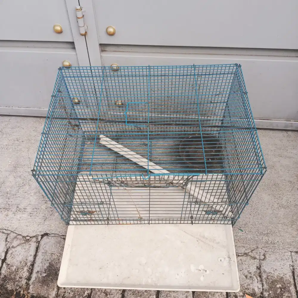 Kandang burung kucing