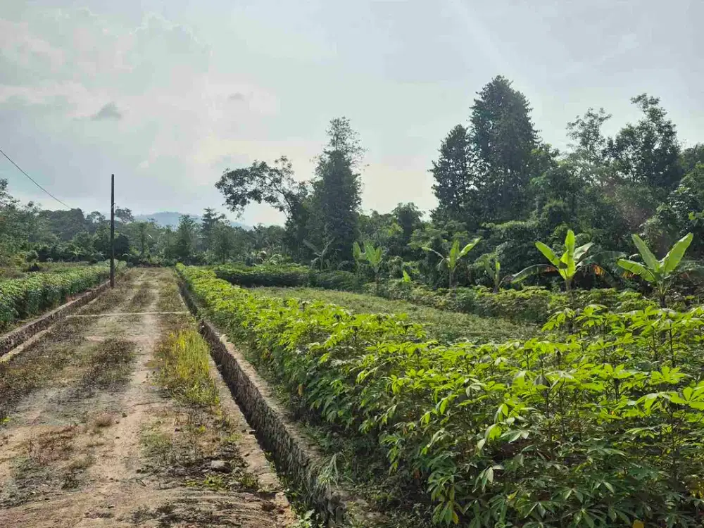 jual tanah kavling siap bangun murah bisa di cicil