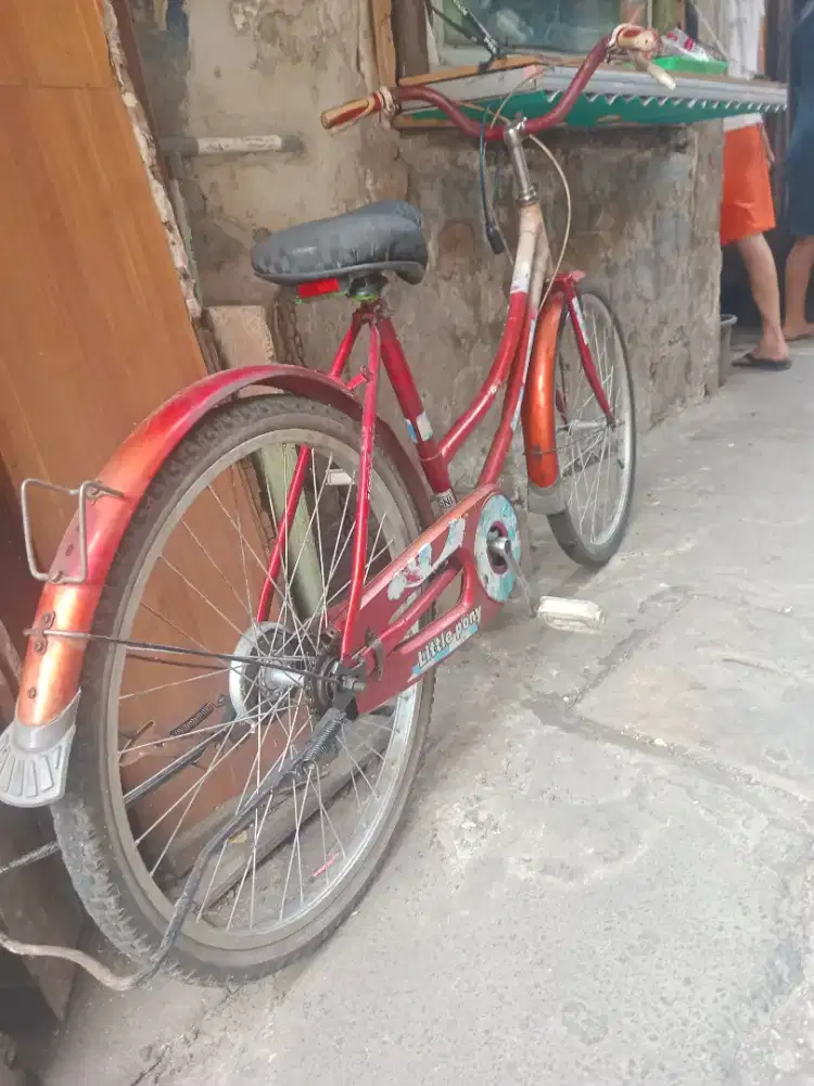 Sepeda dewasa siap pakai