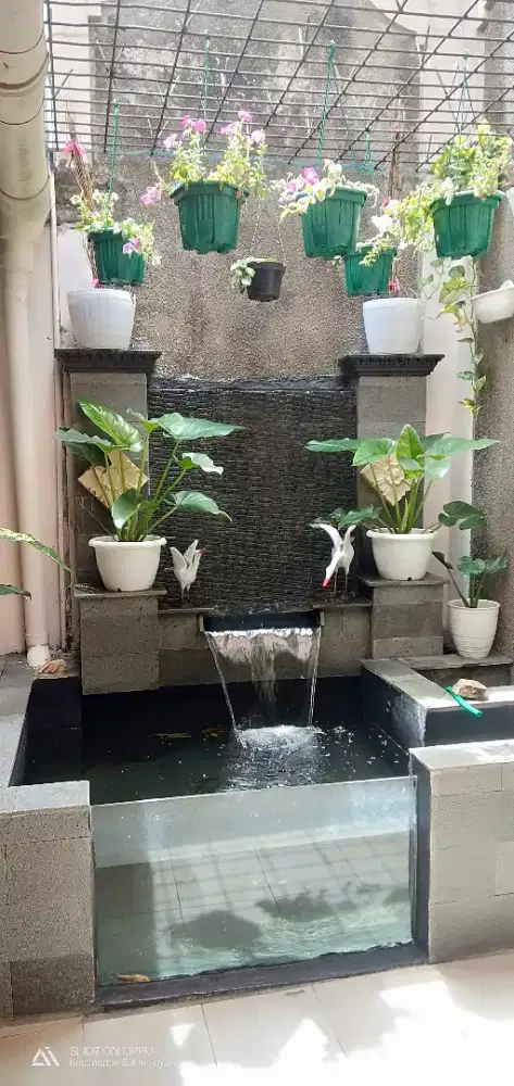 Kolam minimalis terbaru terdekat
