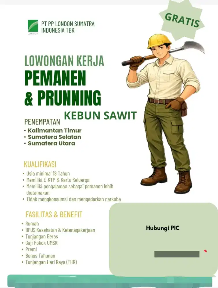 Gratis lowongan kerja kebun sawit kalimantan sumatra