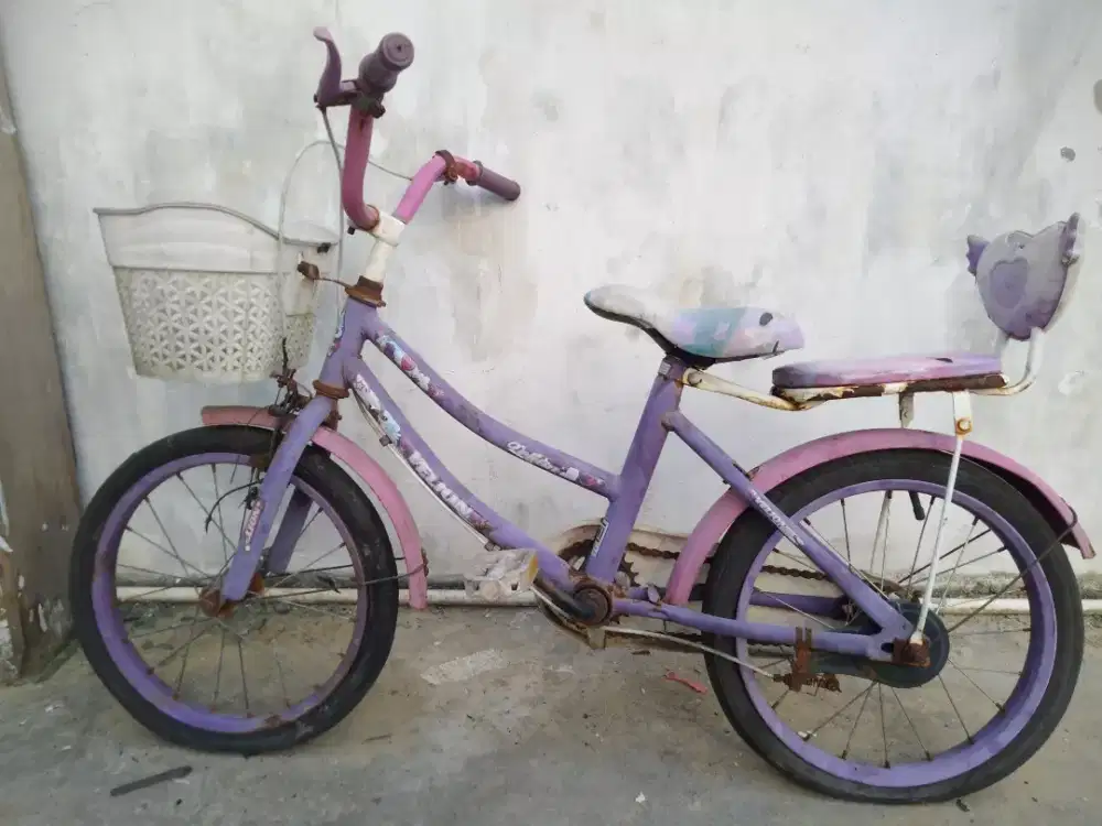 Seadanya Sepeda anak