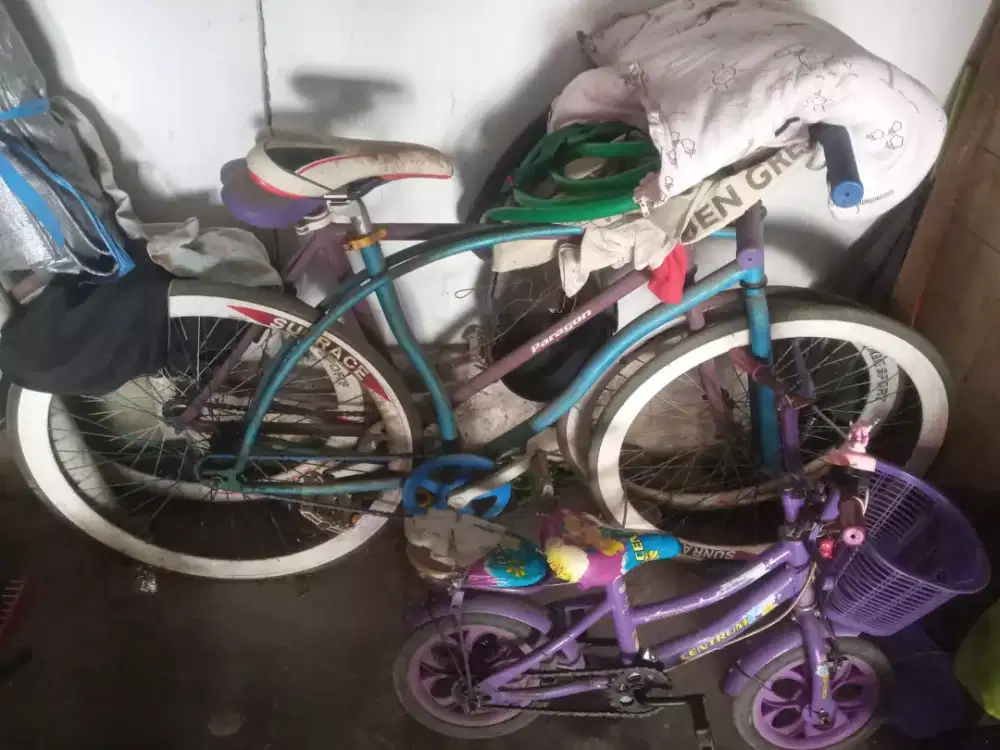 Sepeda anak da dewasaa