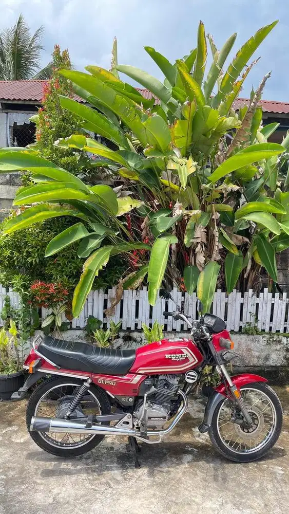 Honda GL PRO Gen 1 ( 1984 )