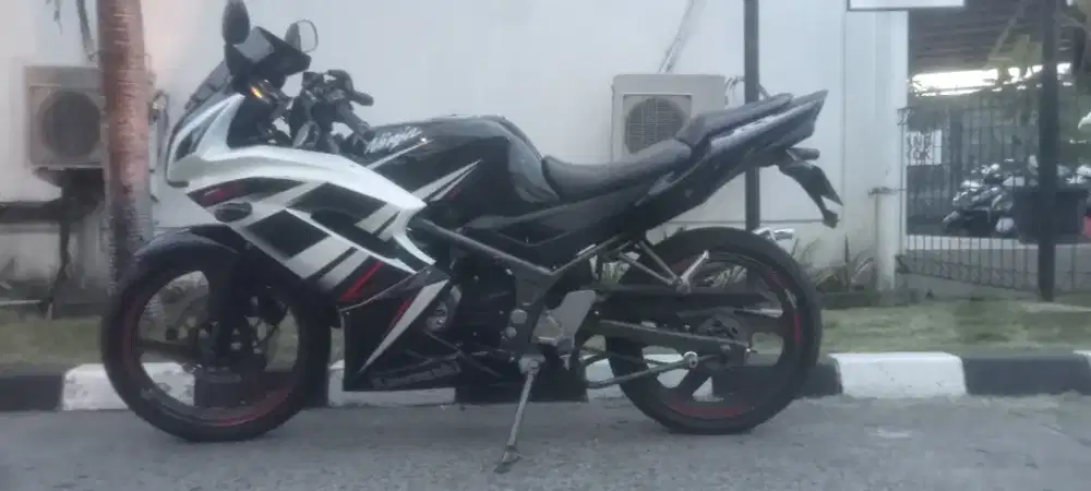 Kawasaki ninja RR New 2015