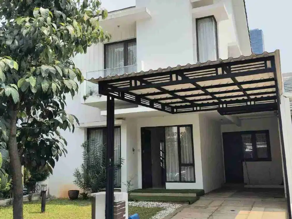 Allevare Foresta BSD City