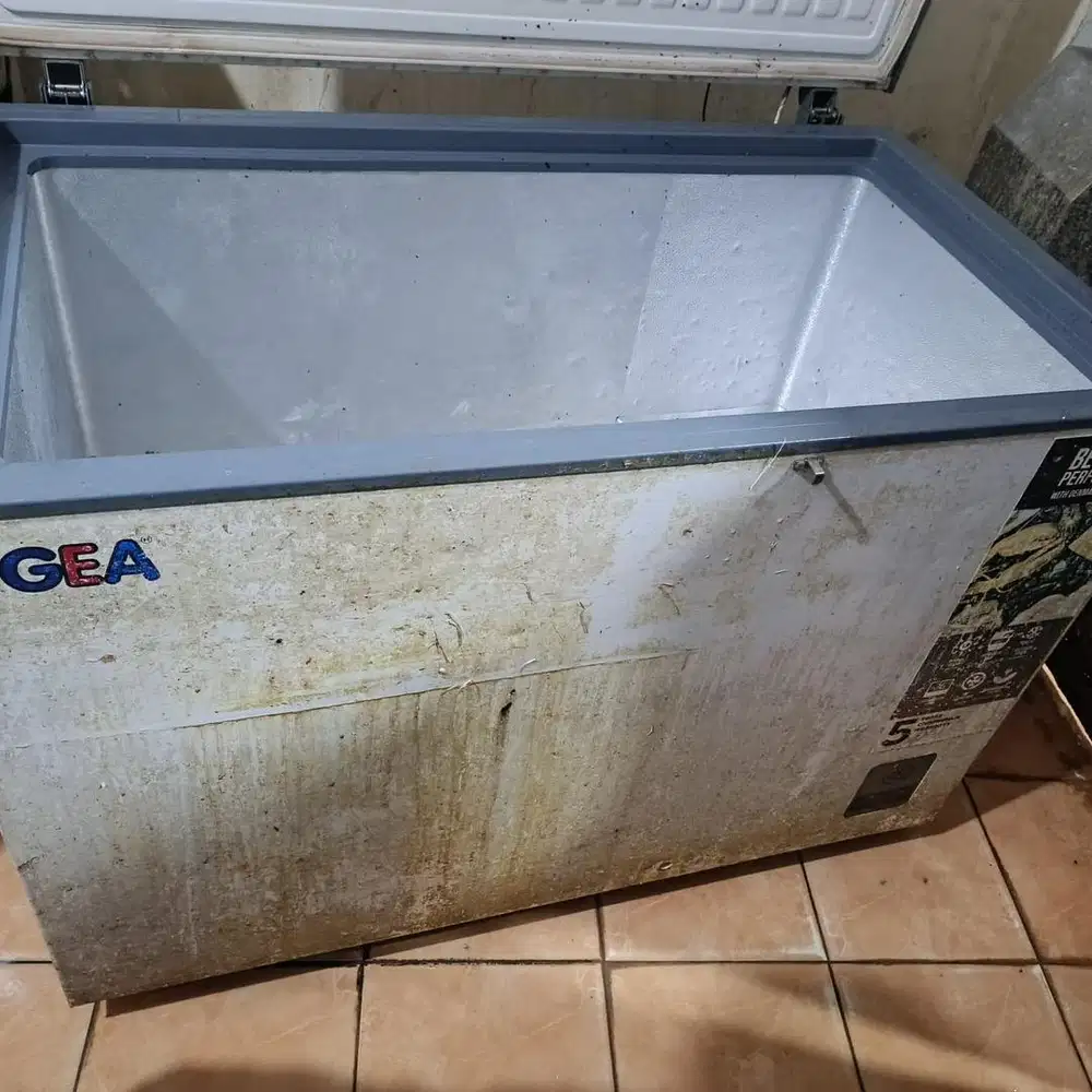 FREEZER GEA 300ltr