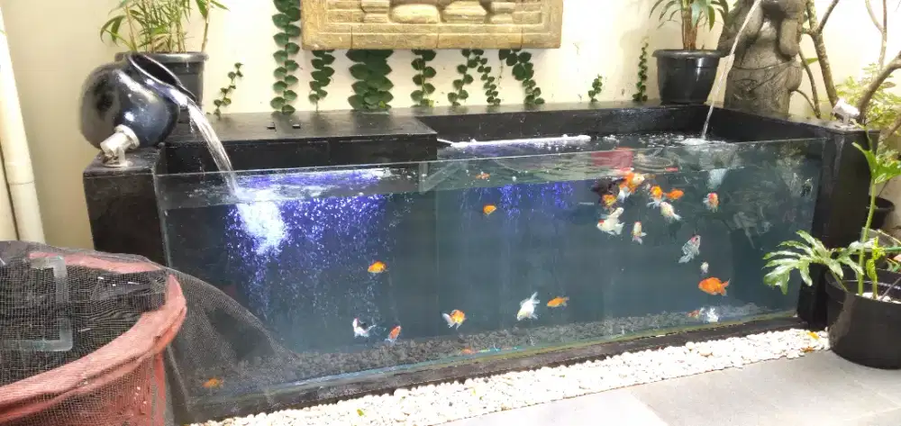 Kolam ikan minimalis terbaru terdekat