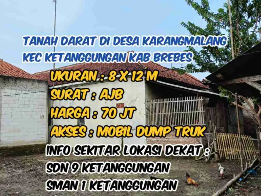 Tanah darat di desa karangmalang ketanggungan brebes