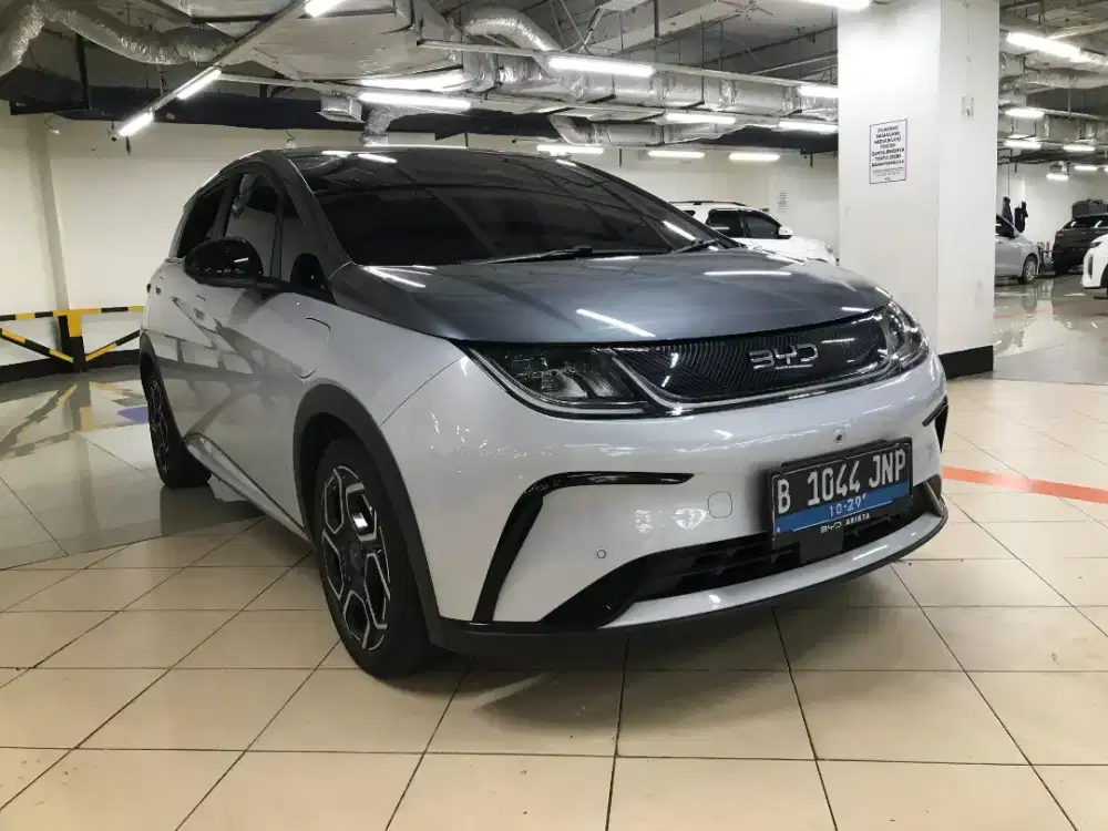 Byd dolphin premium 2024