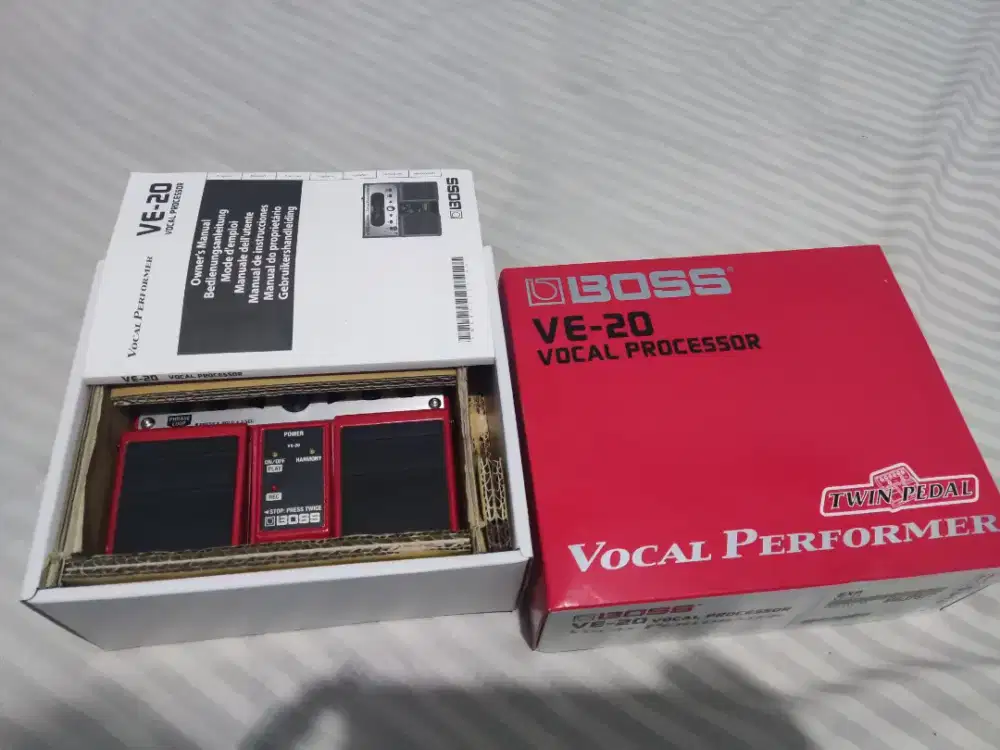 Vocal  performer Boss VE 20