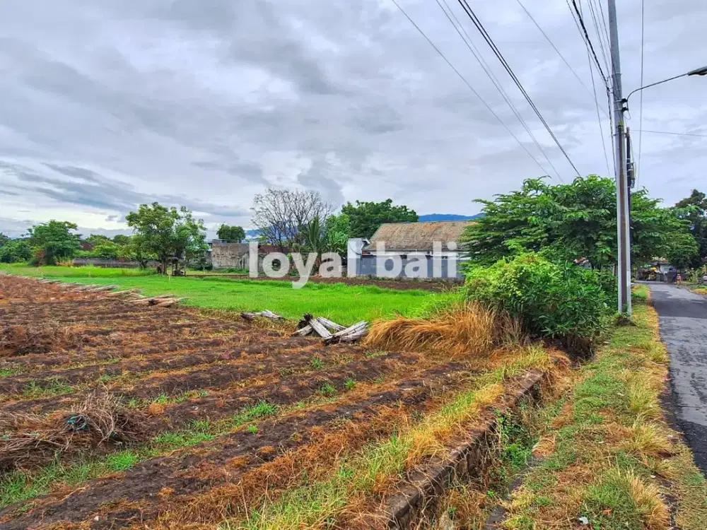 Tanah 20 are, 2.000m2 Excellent Land in Popular Area in Buleleng, Bali