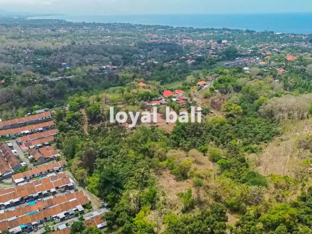 Tanah 15.000m² / Land in Tegallinggah, Buleleng, Bali