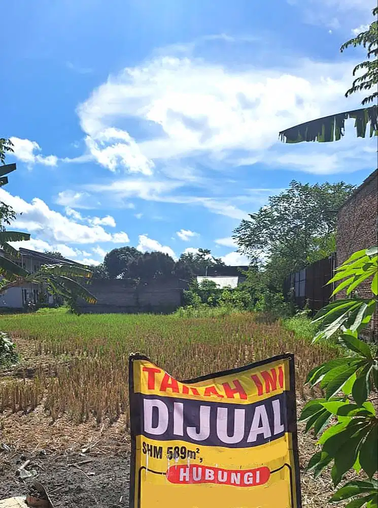Tanah Sawah Strategis dekat Kampus ISI