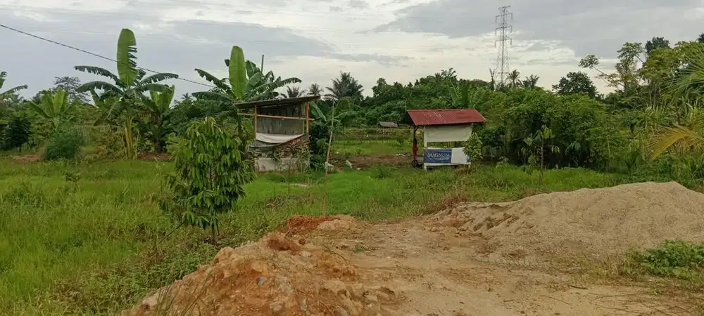 Tanah dijual lokasi bayeun aceh timur