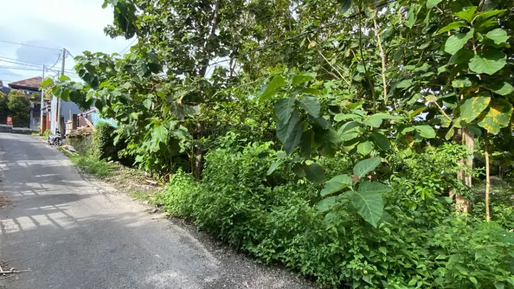 Pecatu Ungasan Luas 2 are