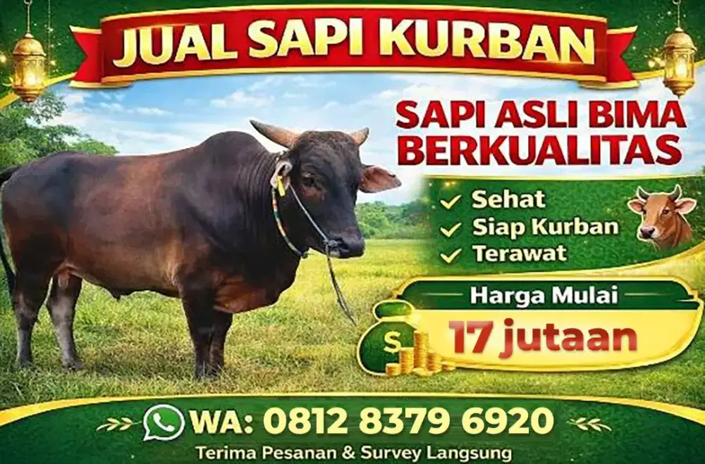 Sapi Kurban Bekasi