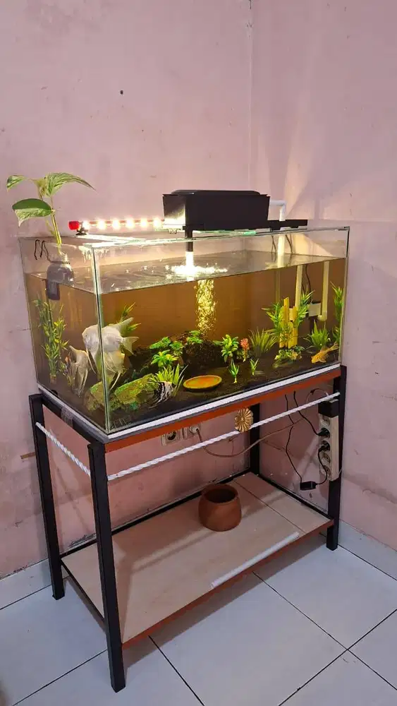 Akuarium 80cm satu set