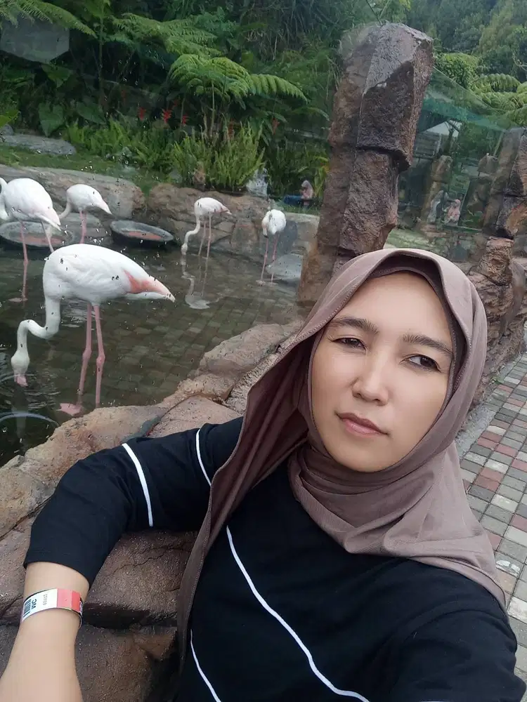 mencari pekerjaan sebagai cashier atau admin ringan