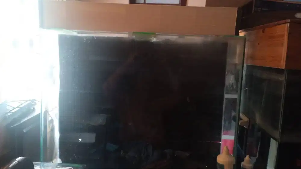 aquarium 80x20x70 lengkap dengan top filter