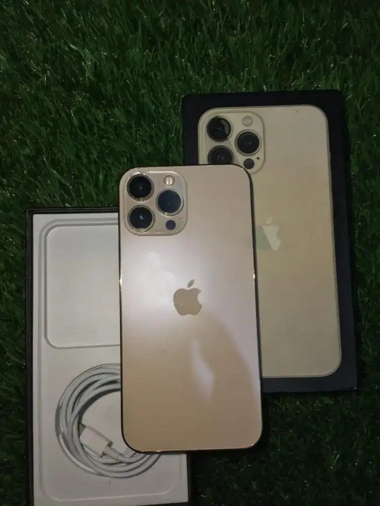 iphone 13 PROMAX 128 EX INTER ALLOP