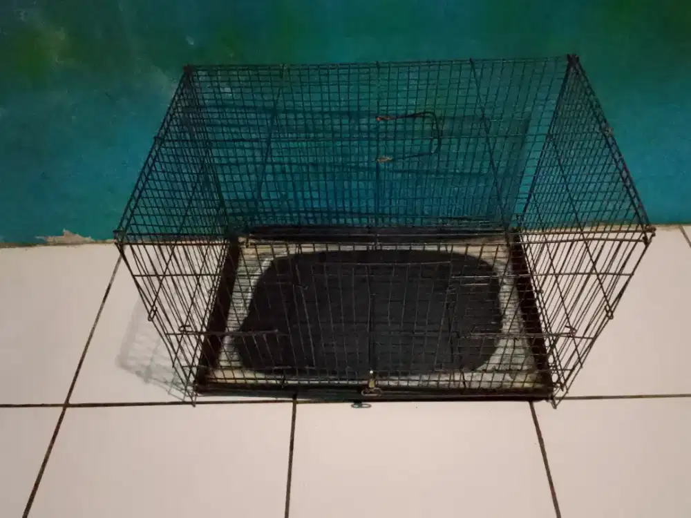 Kandang kucing ukuran medium
