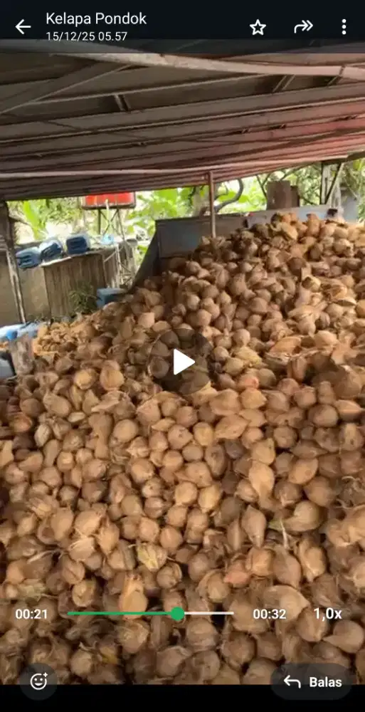 Lowongan art dan bantu bantu di rumah