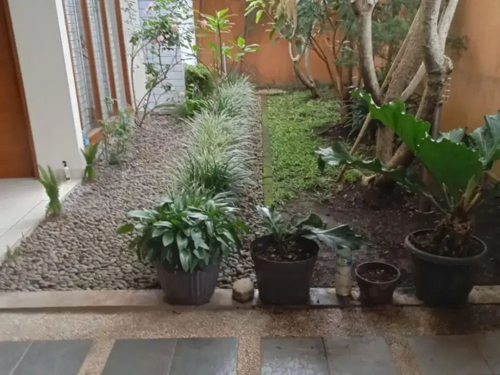 rumah nyaman setiabudi bdg utara, harga nego keras