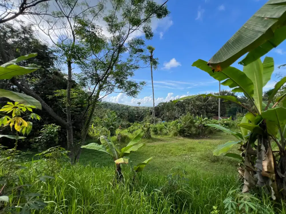 300m2 tanah pemandangan laut