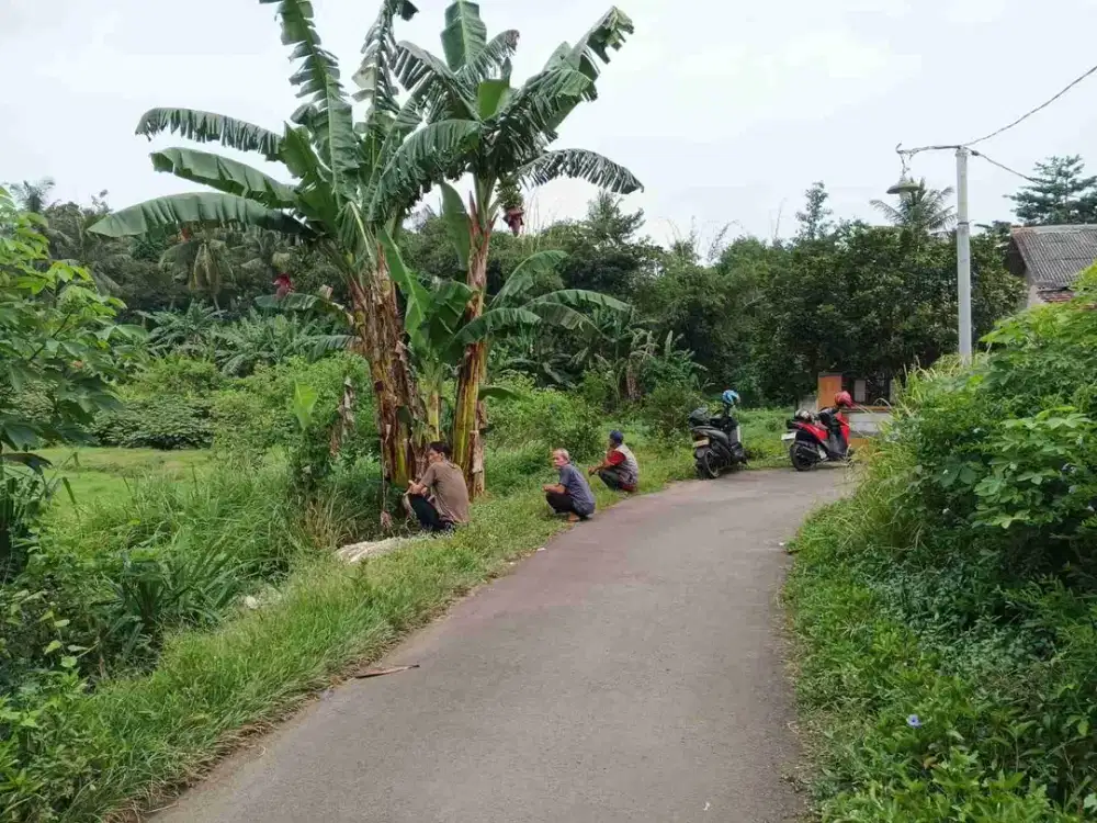 jual tanah nempel puri citraland pinggir jalan cocok buat hunian